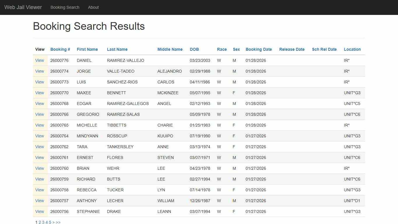BookingSearchDetail - Web Jail Viewer